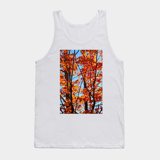 Vermont Red Maples Tank Top by srwdesign